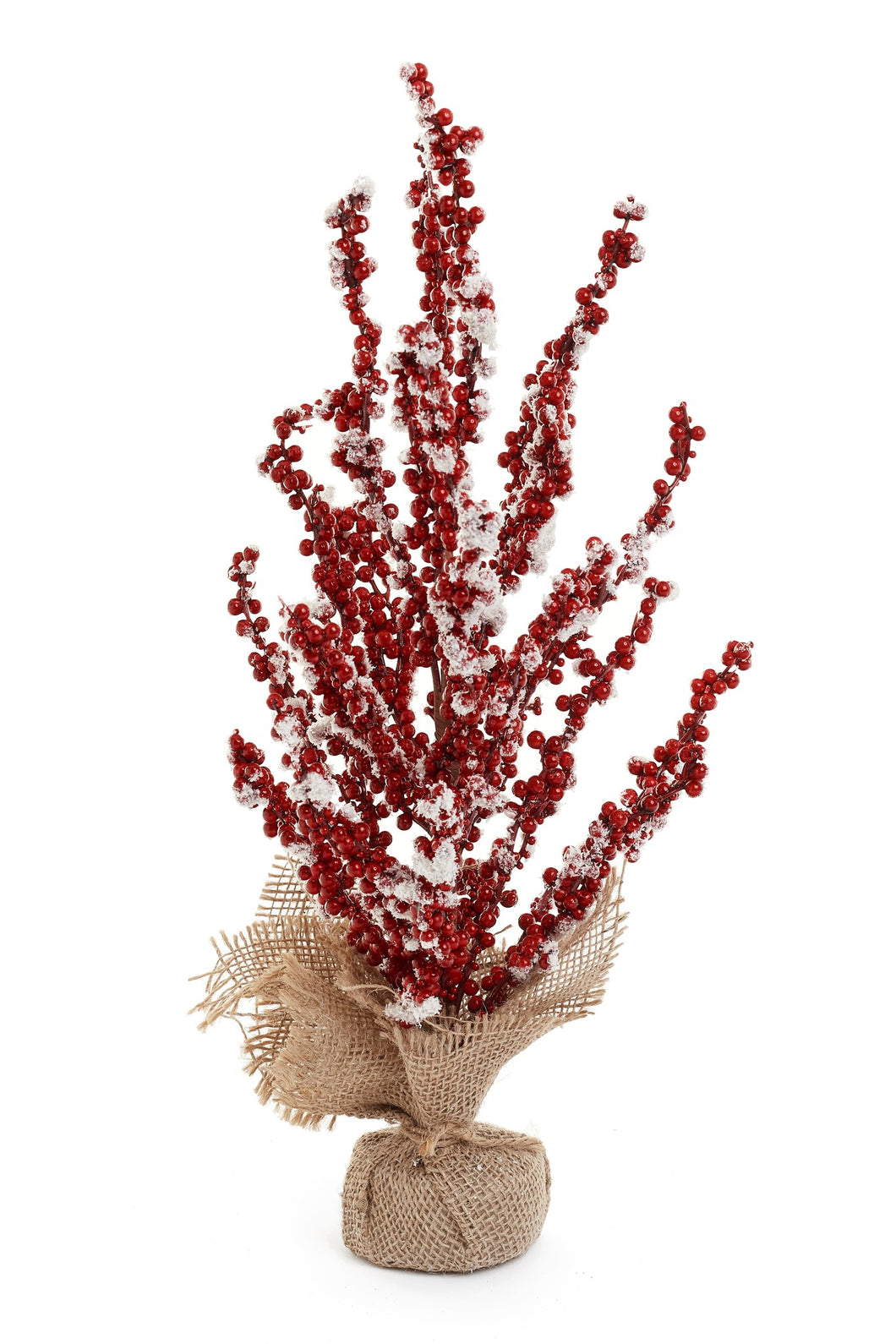Xmas Berry Tree