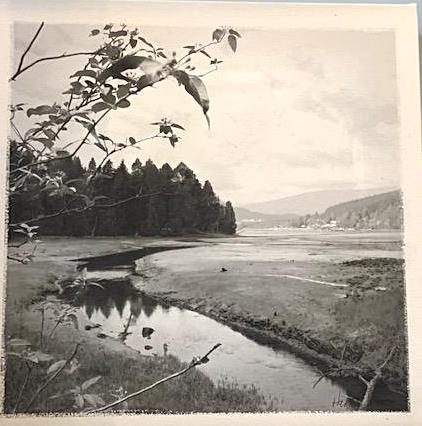 Wall Art - Local Artist - Canvas Print - Port Moody - Salt Marsh